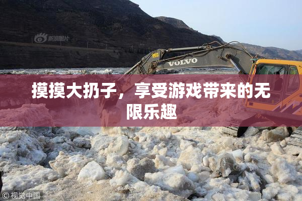 摸摸大扔子，享受游戏带来的无限乐趣