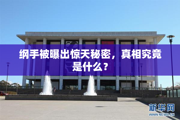 纲手被曝出惊天秘密，真相究竟是什么？