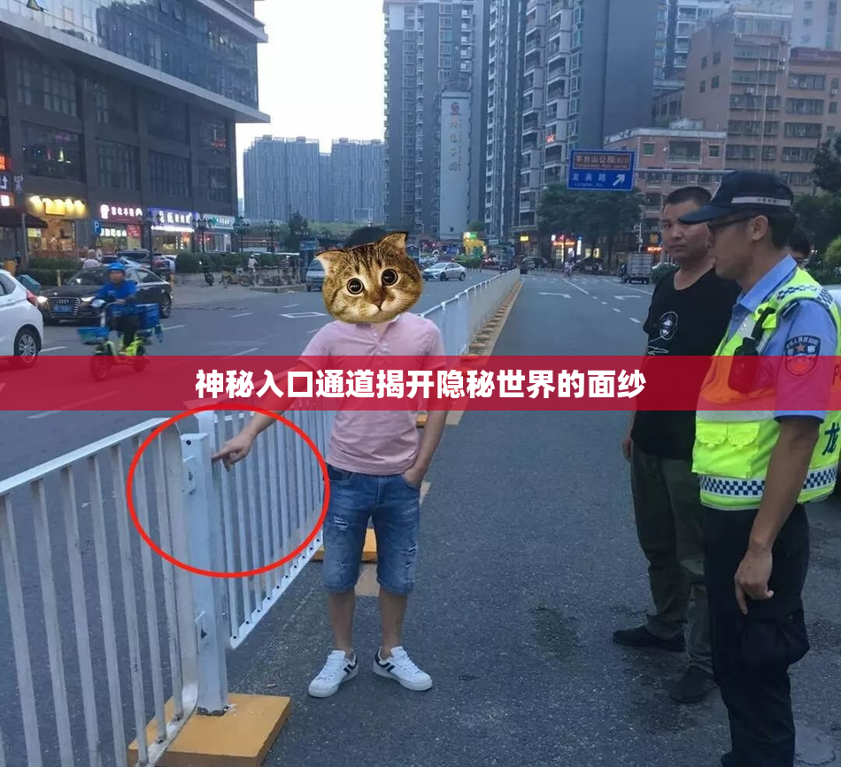 神秘入口通道揭开隐秘世界的面纱