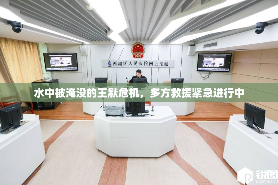 水中被淹没的王默危机，多方救援紧急进行中
