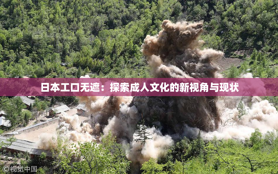 日本工口无遮：探索成人文化的新视角与现状