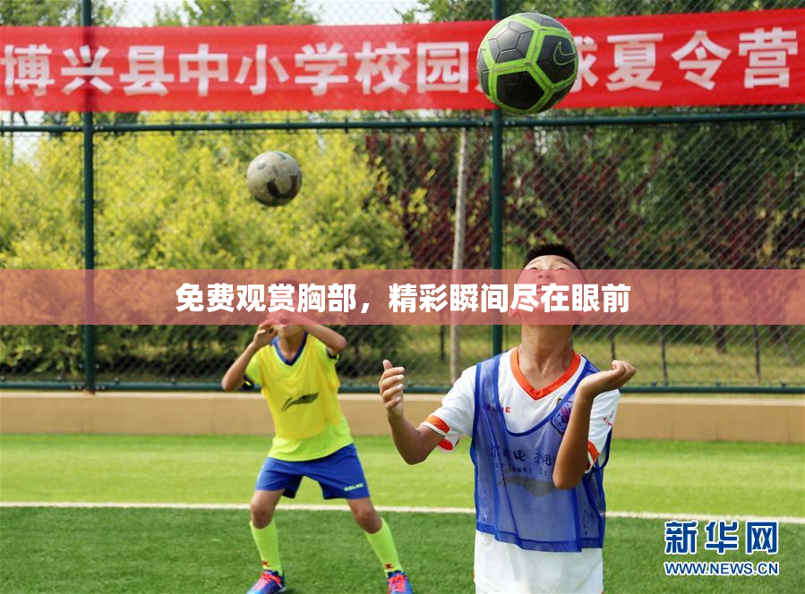 免费观赏胸部，精彩瞬间尽在眼前