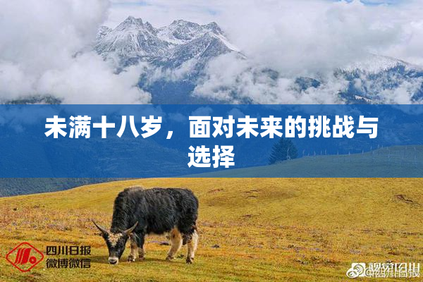未满十八岁，面对未来的挑战与选择