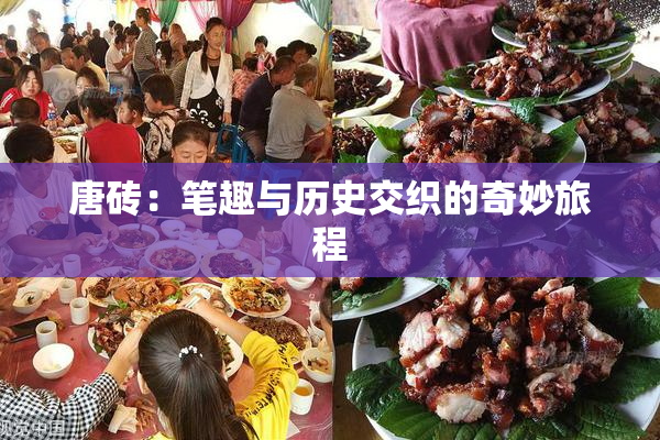 唐砖：笔趣与历史交织的奇妙旅程