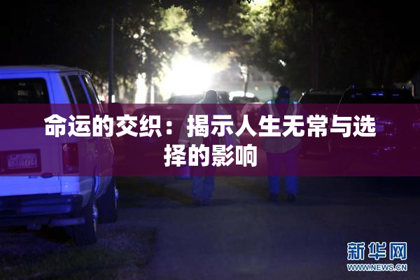 命运的交织：揭示人生无常与选择的影响