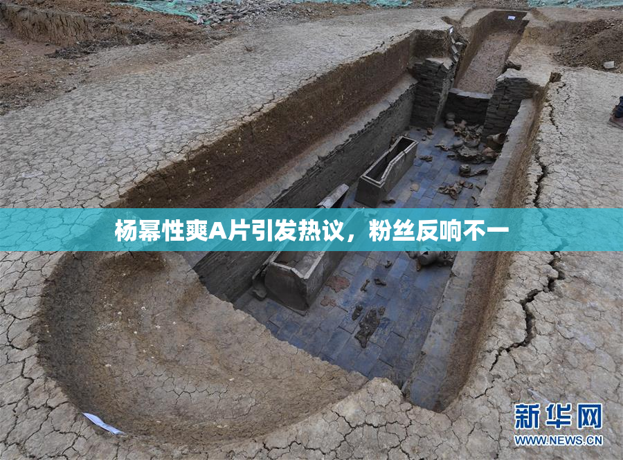 杨幂性爽A片引发热议，粉丝反响不一