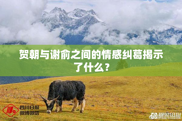 贺朝与谢俞之间的情感纠葛揭示了什么？