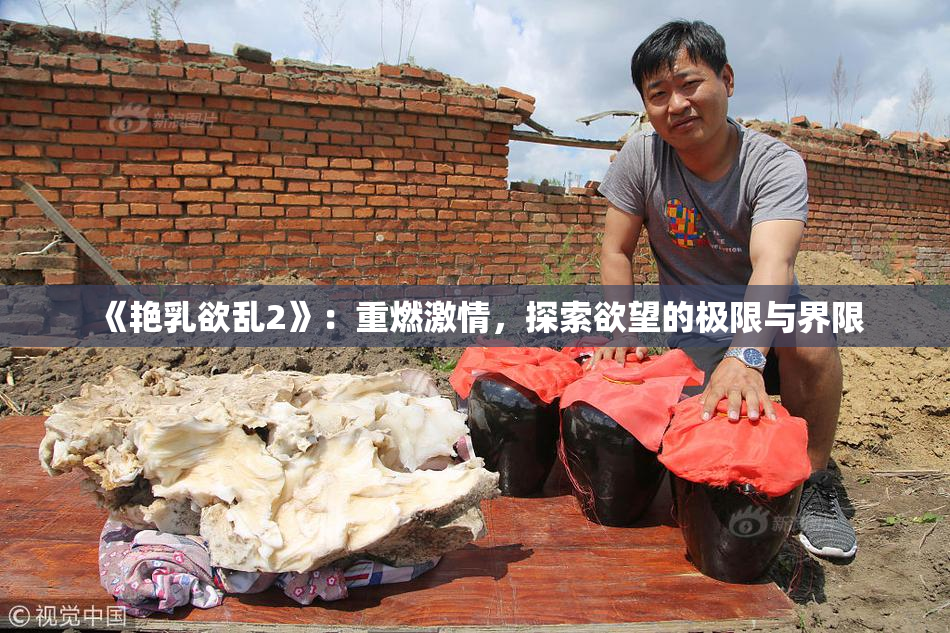 《艳乳欲乱2》：重燃激情，探索欲望的极限与界限