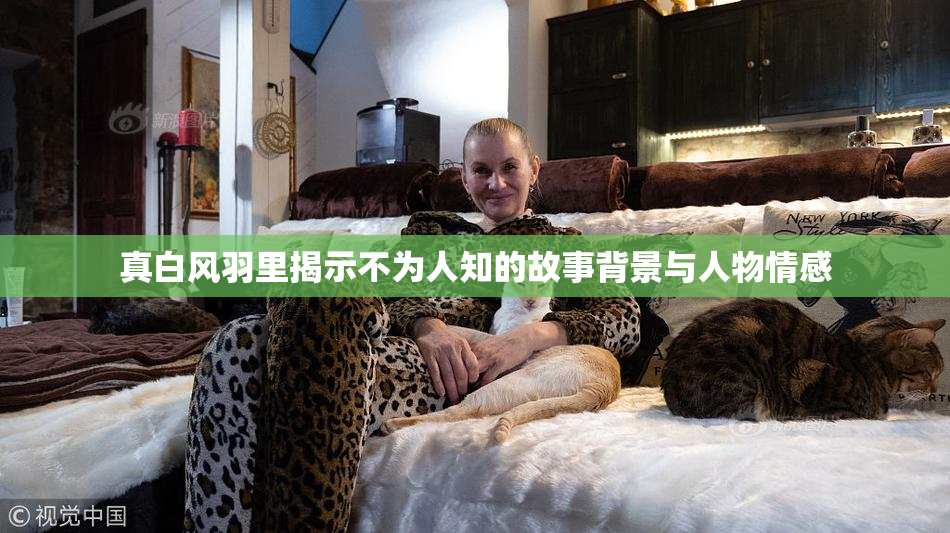 真白风羽里揭示不为人知的故事背景与人物情感