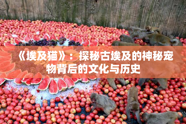 《埃及猫》：探秘古埃及的神秘宠物背后的文化与历史