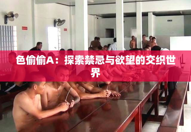 色偷偷A：探索禁忌与欲望的交织世界