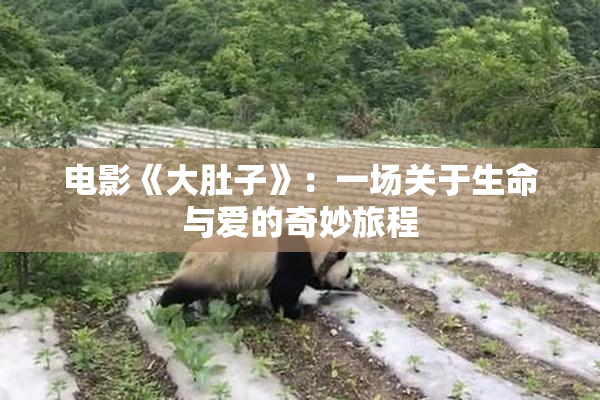 电影《大肚子》：一场关于生命与爱的奇妙旅程