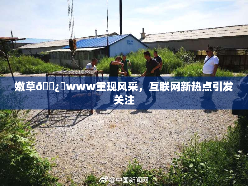 嫩草🌿‌www重现风采，互联网新热点引发关注