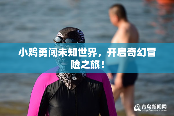 小鸡勇闯未知世界，开启奇幻冒险之旅！