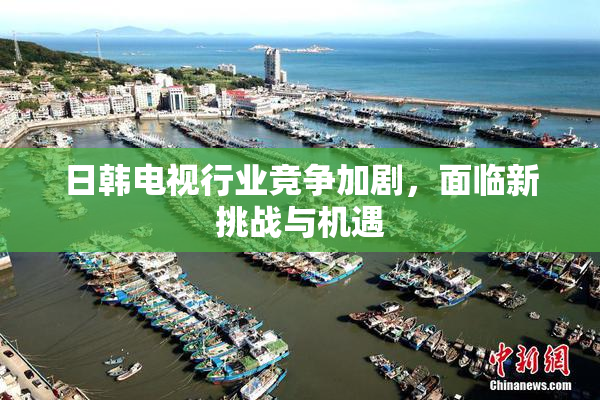日韩电视行业竞争加剧，面临新挑战与机遇