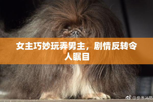 女主巧妙玩弄男主，剧情反转令人瞩目