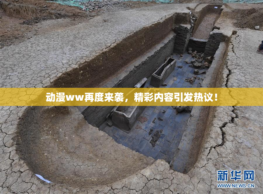 动漫ww再度来袭，精彩内容引发热议！