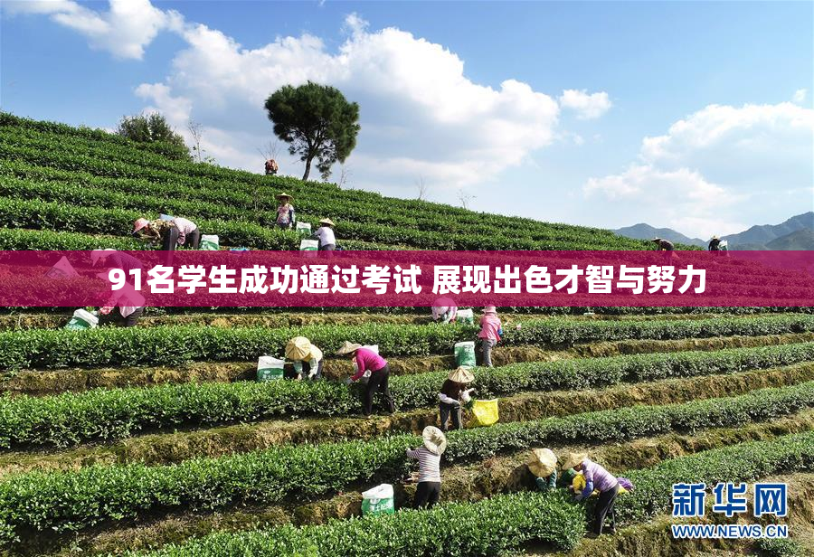 91名学生成功通过考试 展现出色才智与努力