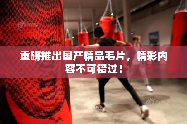 重磅推出国产精品毛片，精彩内容不可错过！