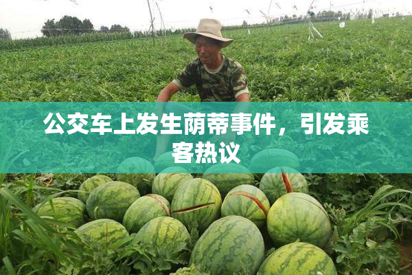 公交车上发生荫蒂事件，引发乘客热议