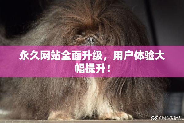 永久网站全面升级，用户体验大幅提升！