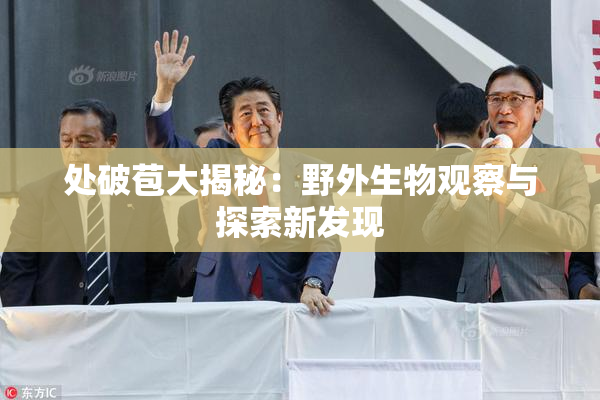 处破苞大揭秘：野外生物观察与探索新发现