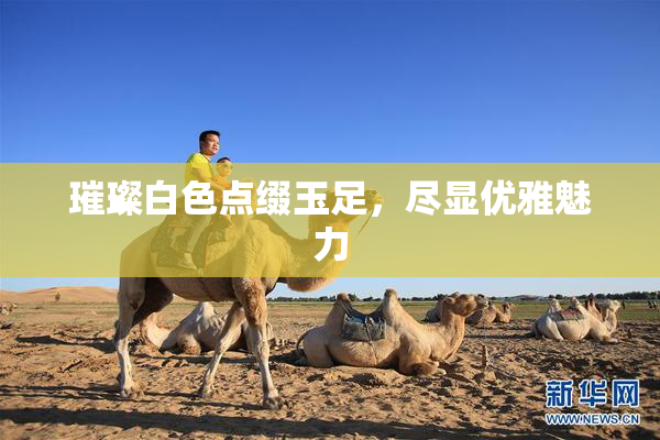 璀璨白色点缀玉足，尽显优雅魅力