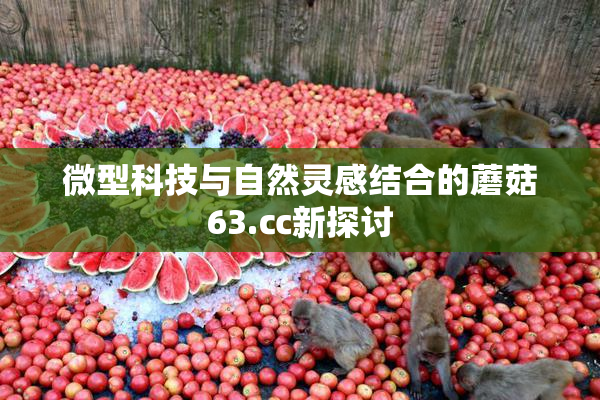 微型科技与自然灵感结合的蘑菇63.㏄新探讨