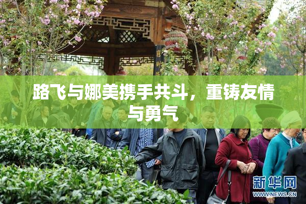 路飞与娜美携手共斗，重铸友情与勇气