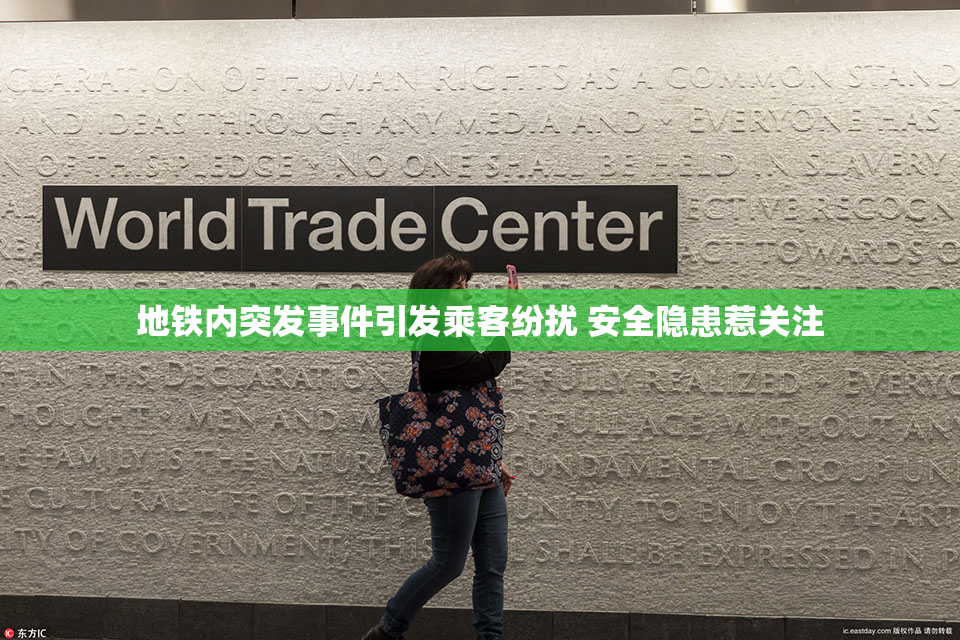 地铁内突发事件引发乘客纷扰 安全隐患惹关注