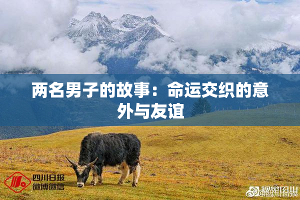 两名男子的故事：命运交织的意外与友谊