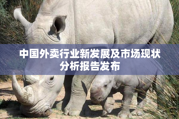 中国外卖行业新发展及市场现状分析报告发布