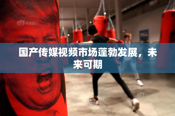 国产传媒视频市场蓬勃发展，未来可期