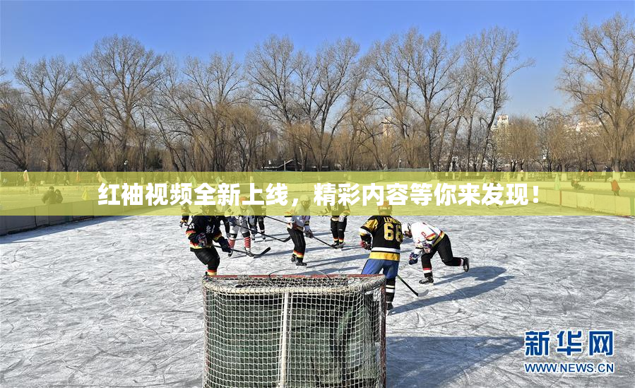 红袖视频全新上线，精彩内容等你来发现！