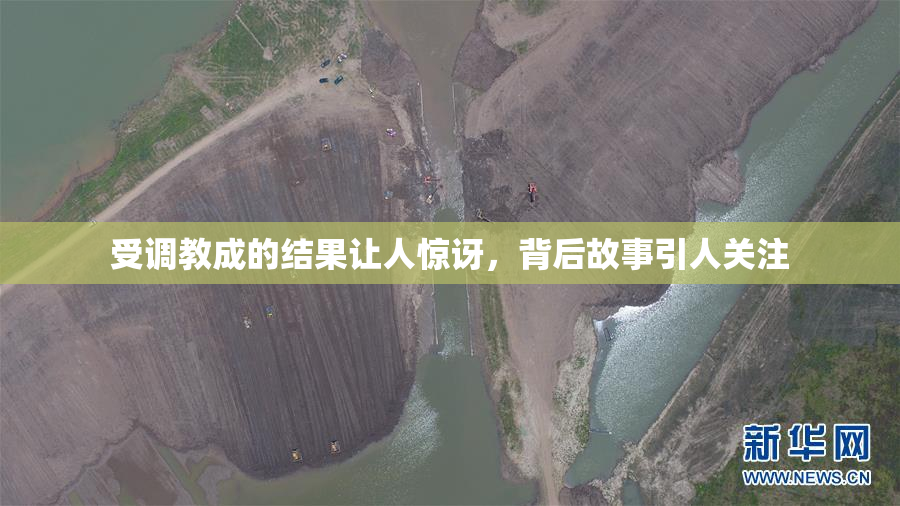 受调教成的结果让人惊讶，背后故事引人关注