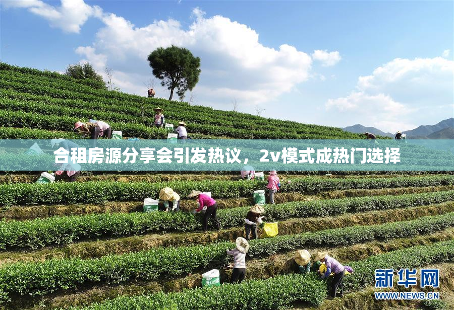 合租房源分享会引发热议，2v模式成热门选择