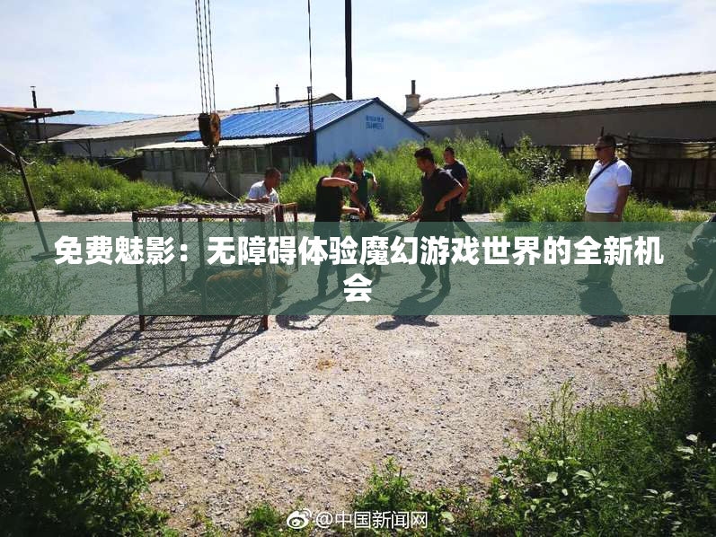免费魅影：无障碍体验魔幻游戏世界的全新机会
