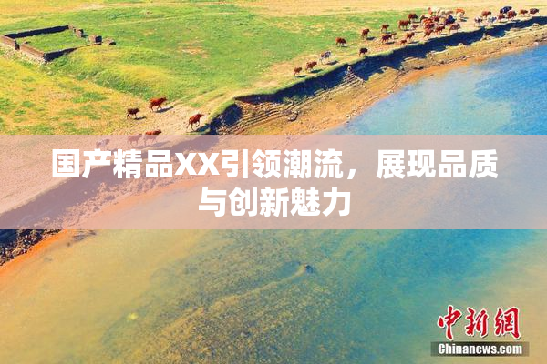 国产精品XX引领潮流，展现品质与创新魅力