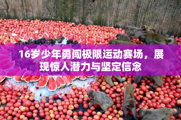 16岁少年勇闯极限运动赛场，展现惊人潜力与坚定信念