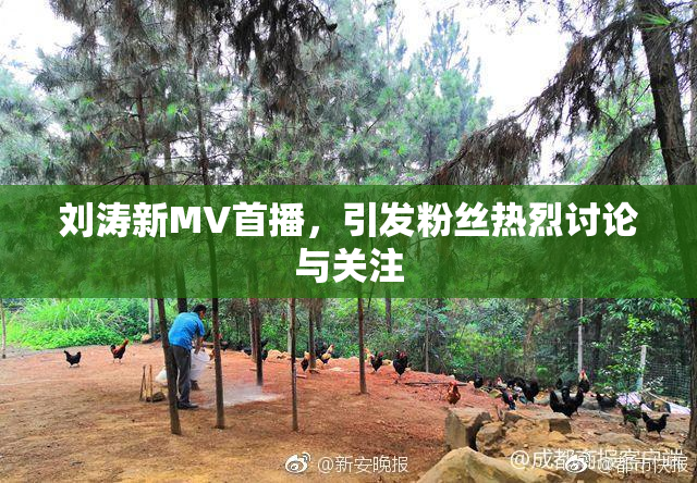 刘涛新MV首播，引发粉丝热烈讨论与关注
