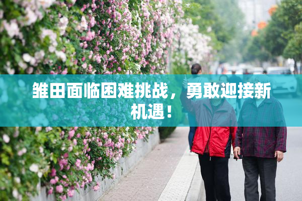 雏田面临困难挑战，勇敢迎接新机遇！