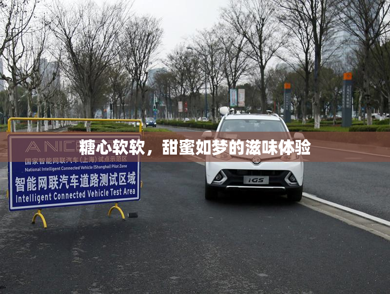 糖心软软，甜蜜如梦的滋味体验