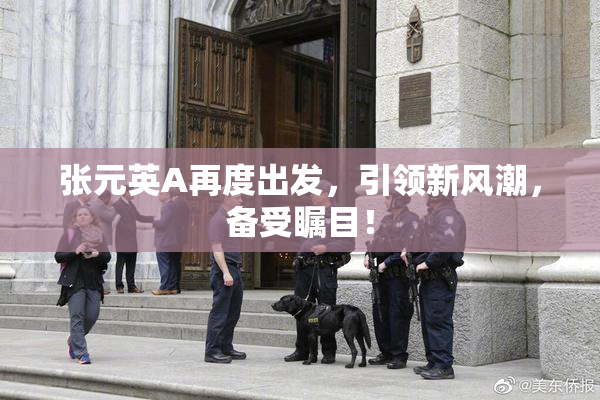 张元英A再度出发，引领新风潮，备受瞩目！