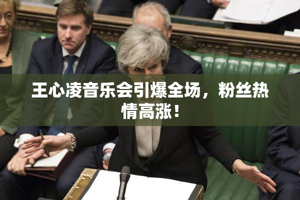 王心凌音乐会引爆全场，粉丝热情高涨！