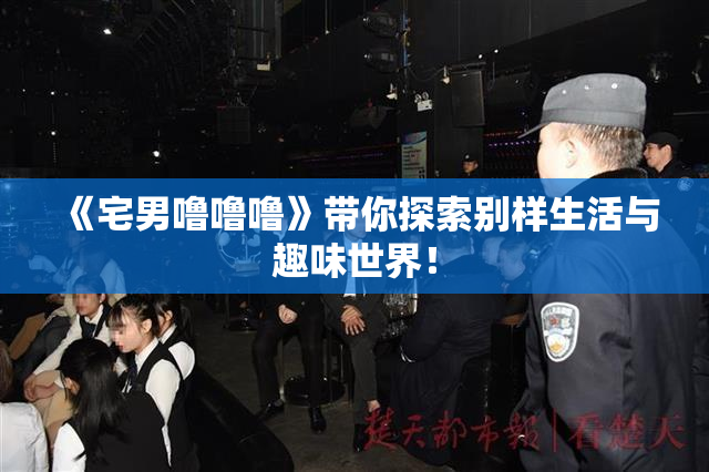 《宅男噜噜噜》带你探索别样生活与趣味世界！