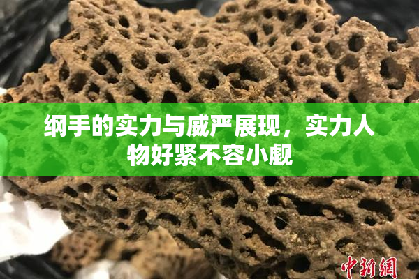 纲手的实力与威严展现，实力人物好紧不容小觑
