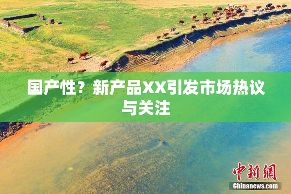 国产性？新产品XX引发市场热议与关注