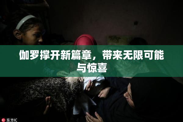 伽罗撑开新篇章，带来无限可能与惊喜