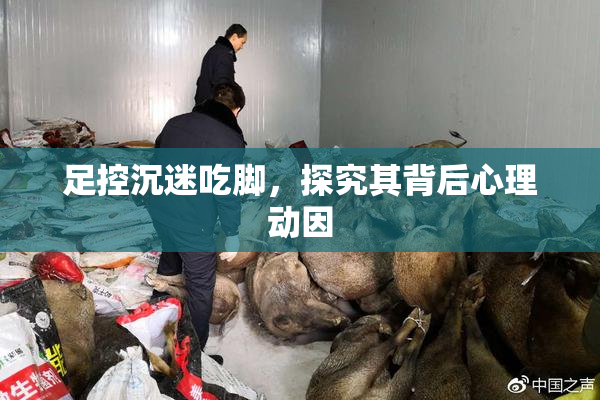 足控沉迷吃脚，探究其背后心理动因