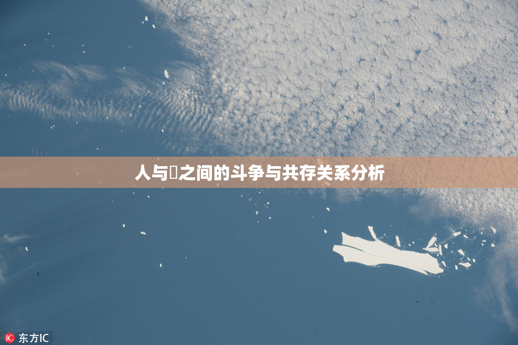 人与嘼之间的斗争与共存关系分析